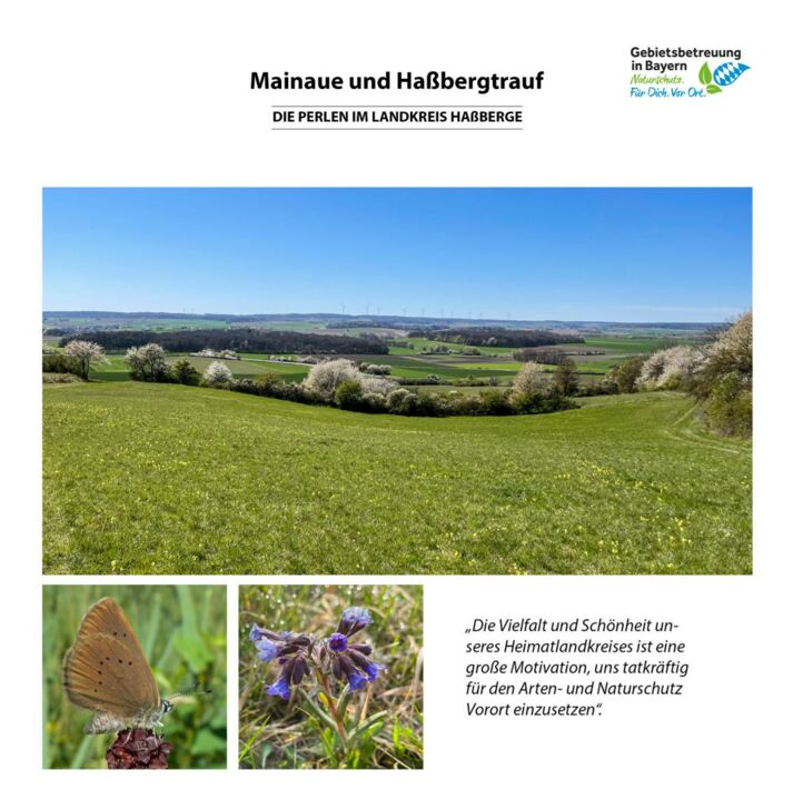 Info-Flyer "Mainaue und Haßbergtrauf"