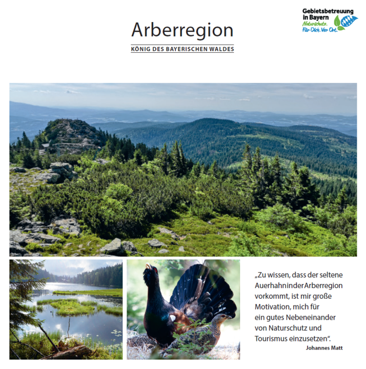 Info-Flyer "Arberregion"