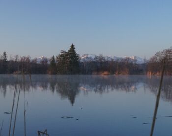 Blick über den Pelhamer See zu Kampenwand und Hochries