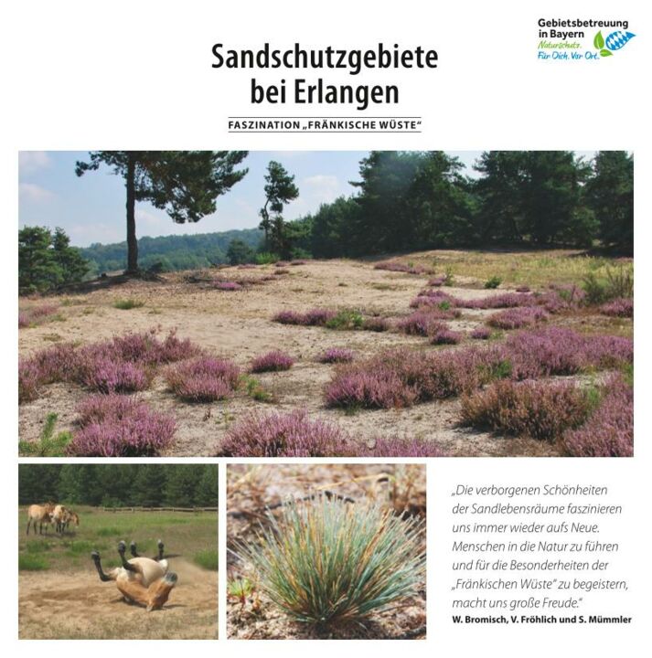 Info-Flyer "Sandschutzgebiete bei Erlangen"