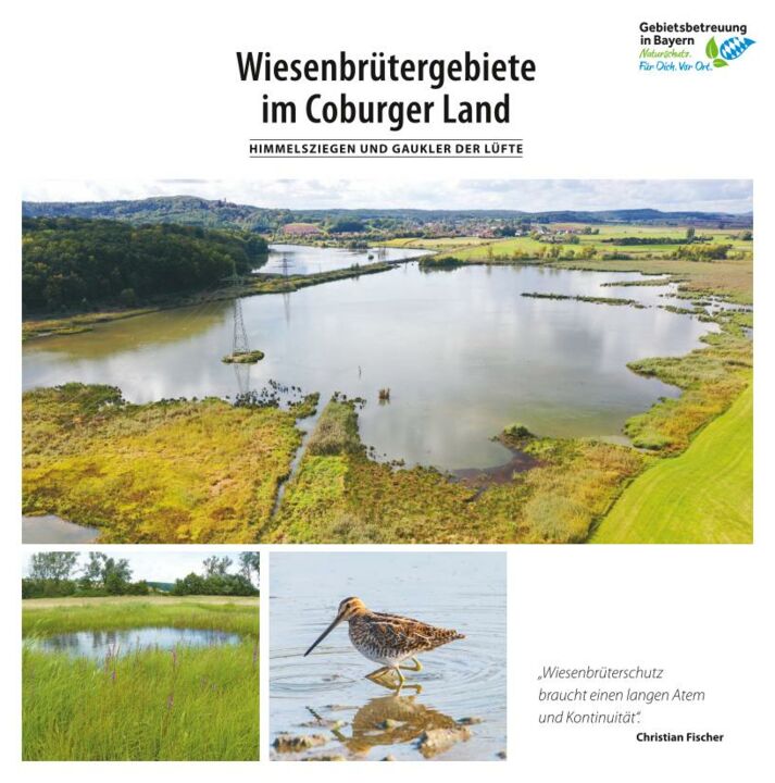 Info-Flyer "Wiesenbrütergebiete im Coburger Land"