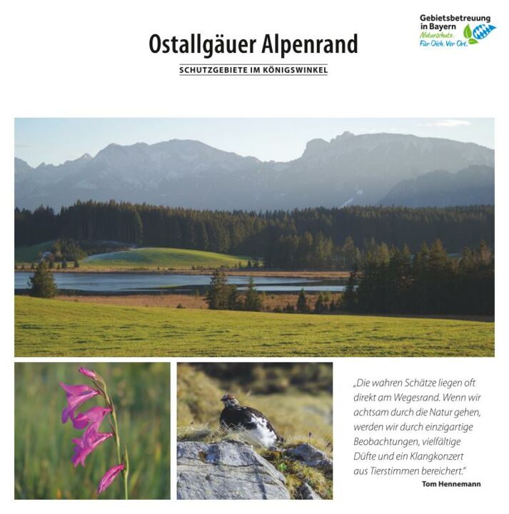 Info-Flyer "Ostallgäuer Alpenrand"