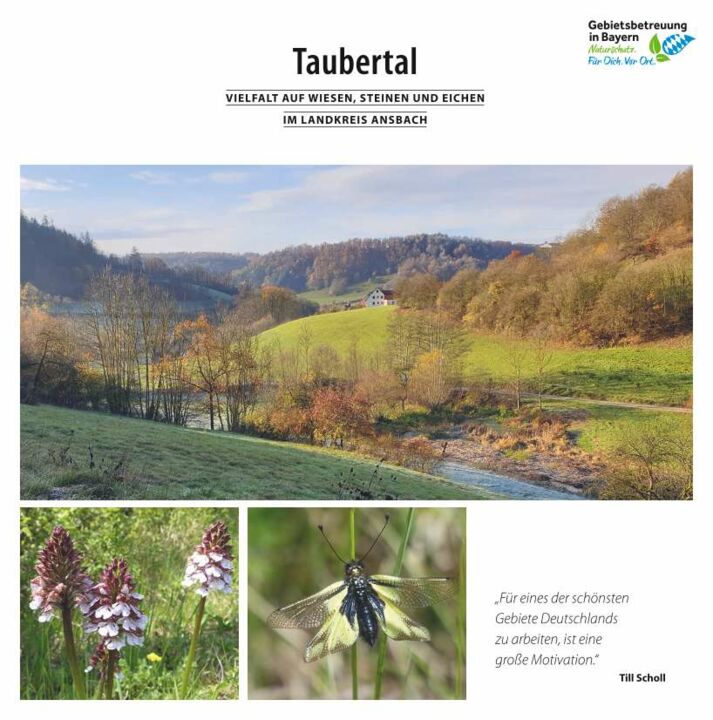 Info-Flyer "Taubertal"