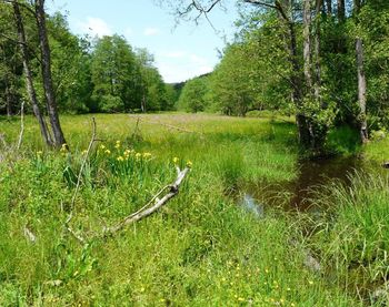 Unterfranken: 6 betreute Gebiete