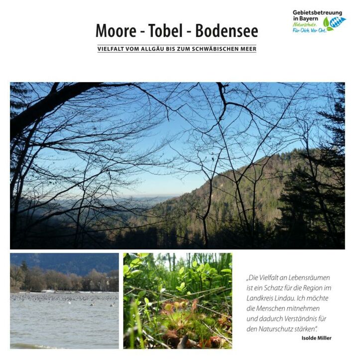 Info-Flyer "Moore - Tobel - Bodensee"